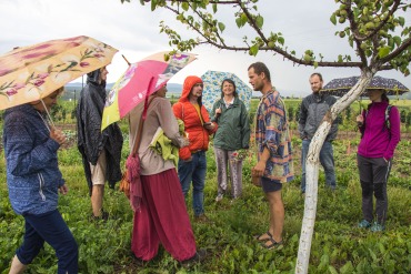 Ovocná a okrasná škôlka Biele Karpaty uchováva genofond krajových odrôd
